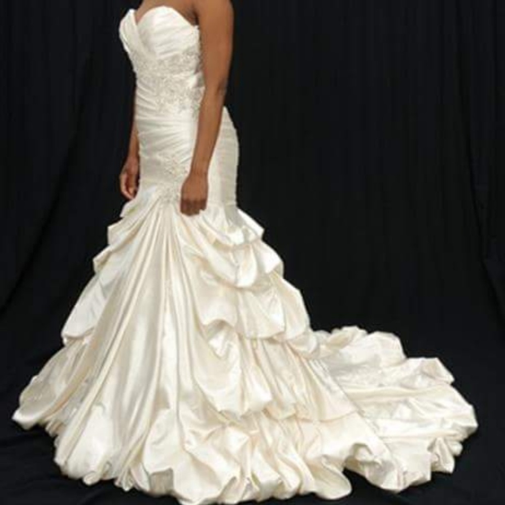 Wedding Gown/Dress